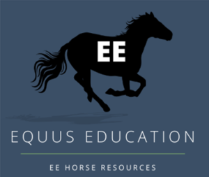 Horse educational resources at Teacher's Pay Teachers