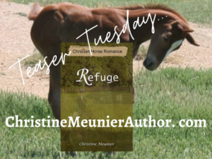 Teaser Tuesday - Refuge | ChristineMeunierAuthor