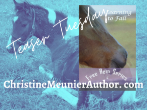 Teaser Tuesday – Learning to Fall | ChristineMeunierAuthor